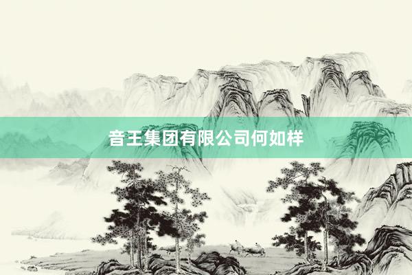 音王集团有限公司何如样